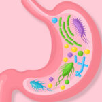 How to improve gut health and 12 foods that are good for the intestines