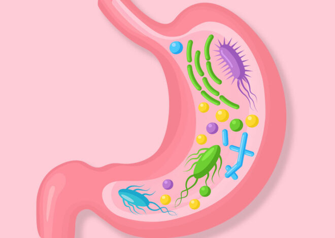 How to improve gut health and 12 foods that are good for the intestines