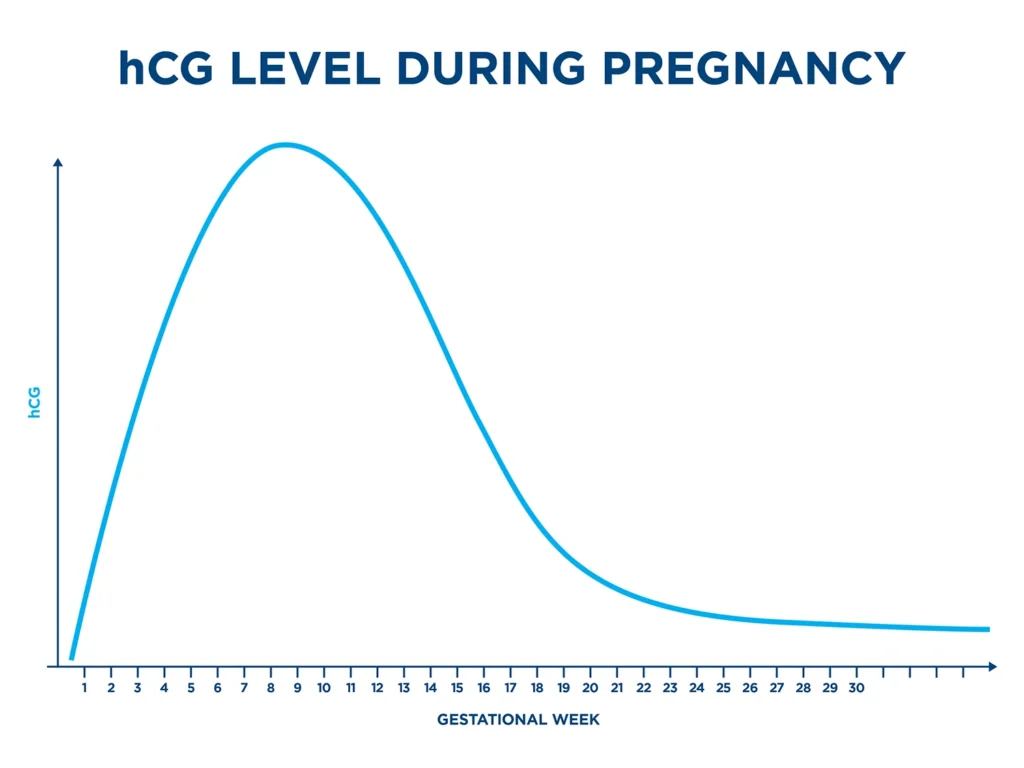 The role of hCG concentration