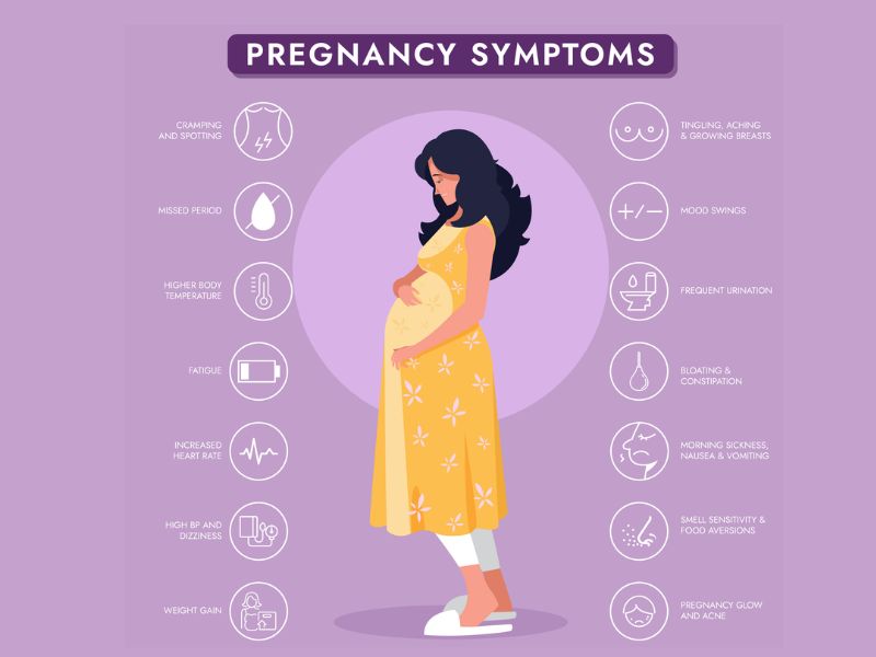 Signs and symptoms of pregnancy