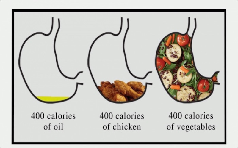 What is the Volumetrics Diet?