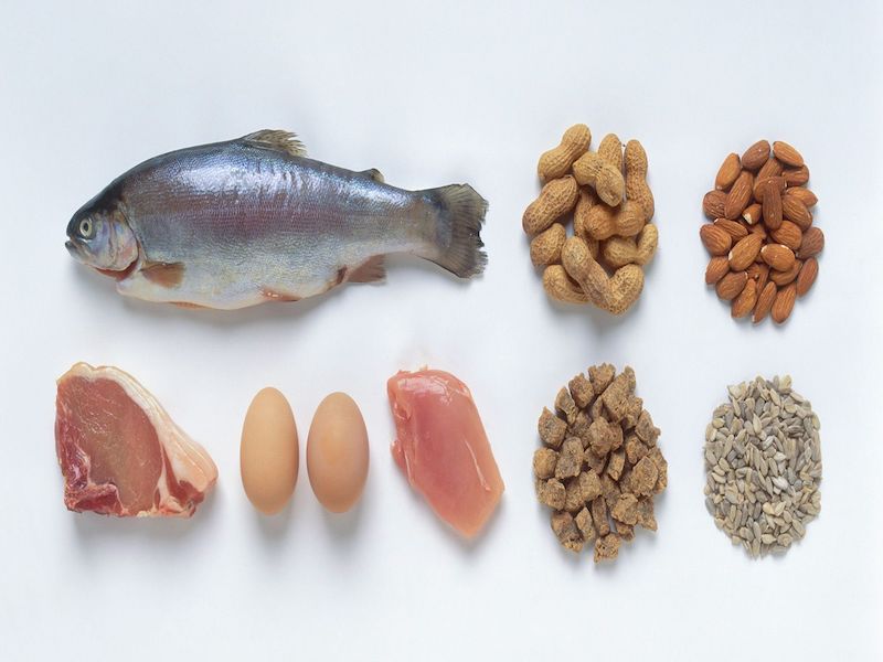 Benefits of adopting a high-protein diet