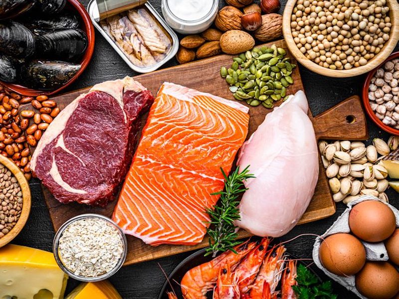 Top protein-rich foods you need to know