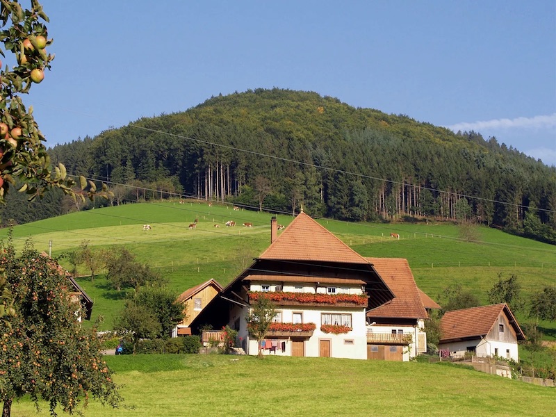 Tourist attractions in Germany - Black Forest, Baden-Württemberg