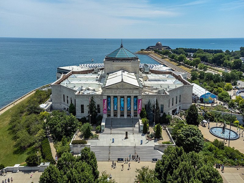 Tourist attractions in Chicago - Shedd Aquarium